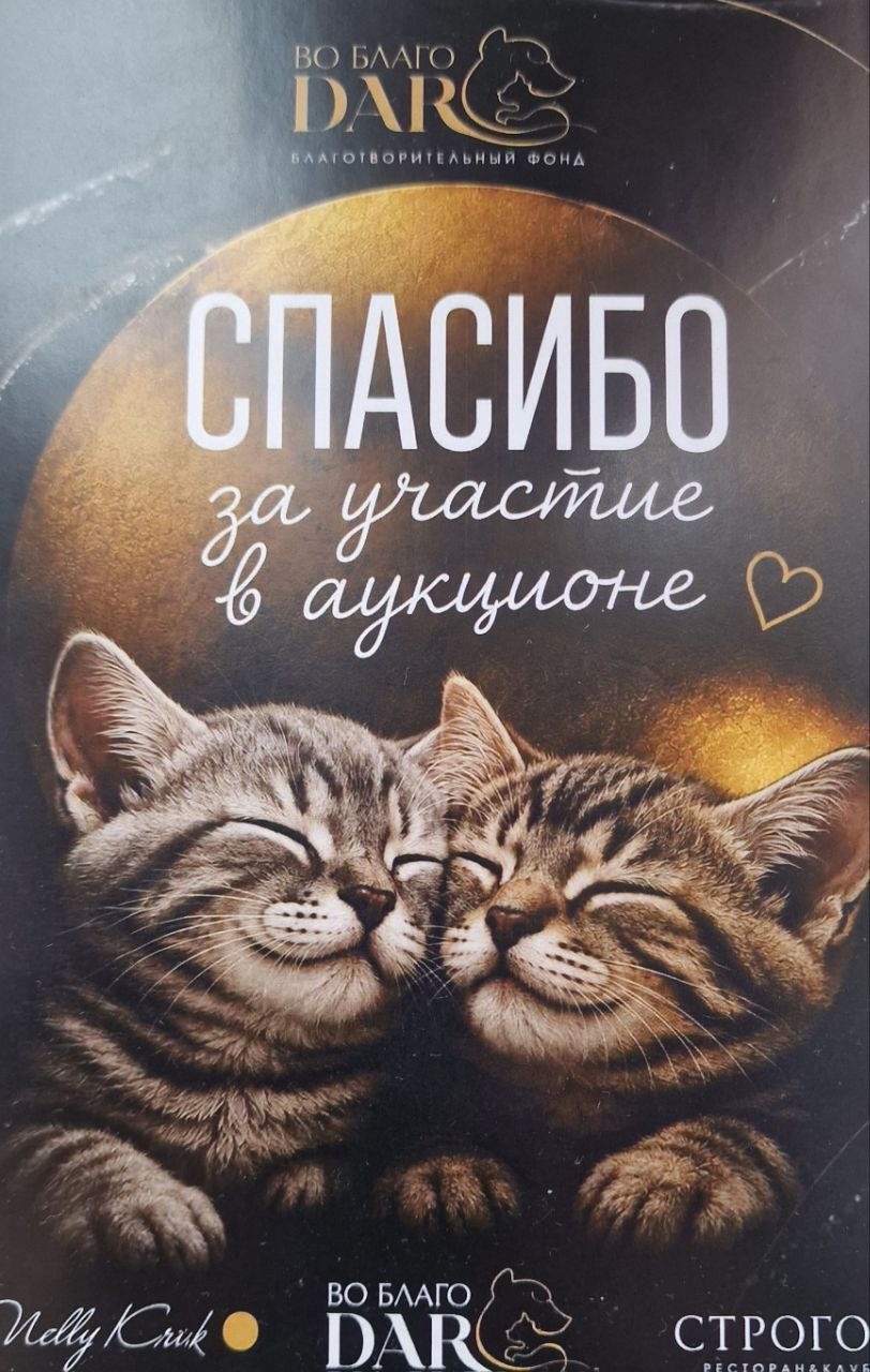 «GUTALLINI» принял участие в благотворительном фестивале «Притяжение», организованном фондом «Во Благо Дар»